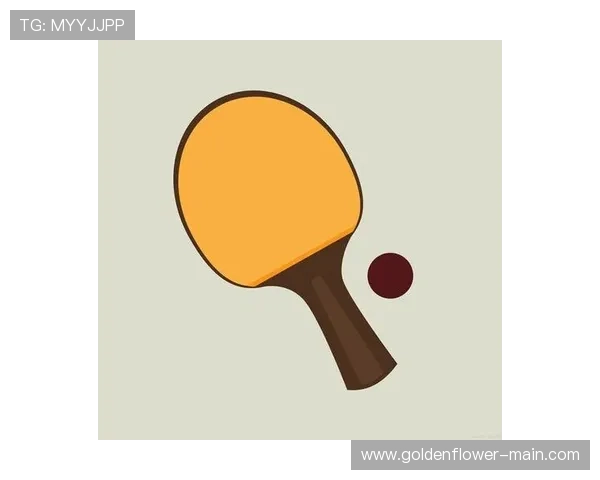 如何选择适合自己的乒乓球拍技巧与注意事项全攻略