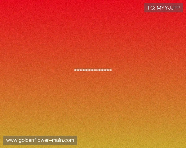 广西体育频道助力本土体育发展 全力推进全民健身热潮